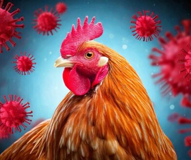 Bird Flu